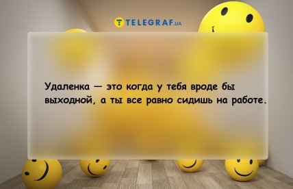 Анекдоты про удаленную работу