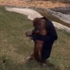 Орангутанг раздел своего гостя и присвоил его куртку (ВИДЕО)