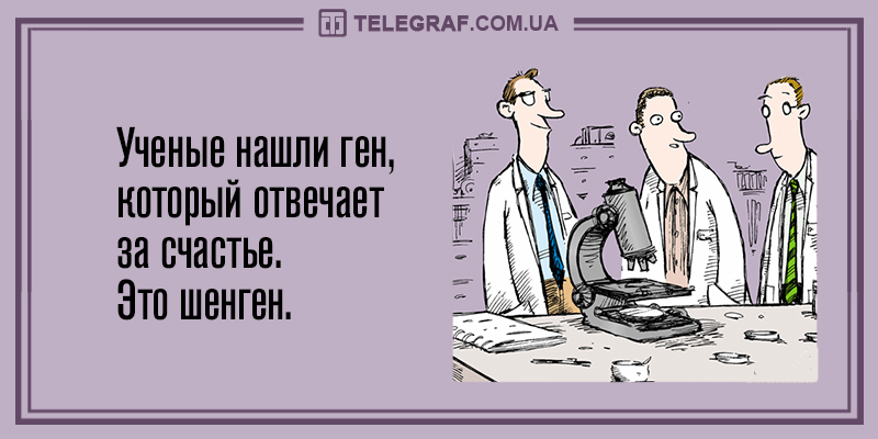 Свежая порция вечерних анекдотов для настроения