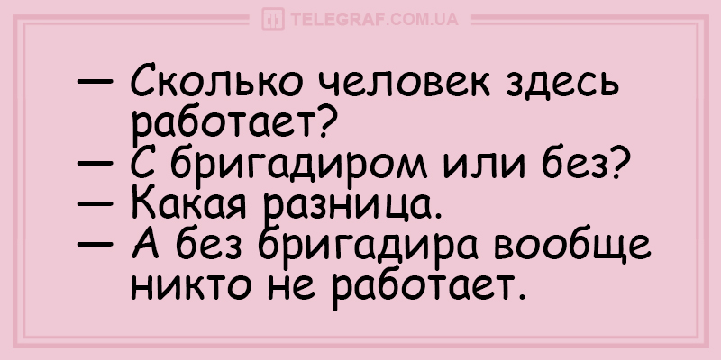 Свежая порция вечерних анекдотов для настроения