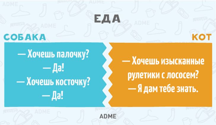 11 фундаментальних відмінностей собак від котів