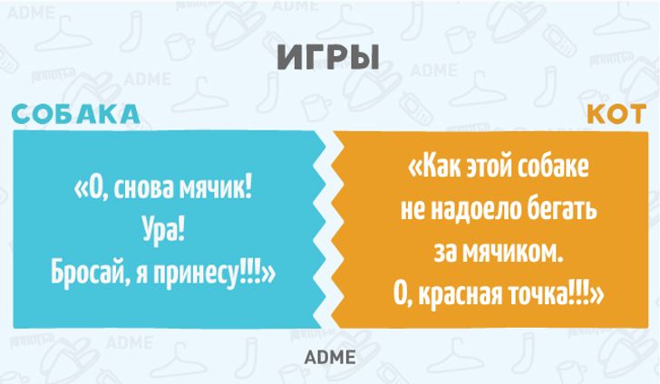 11 фундаментальних відмінностей собак від котів