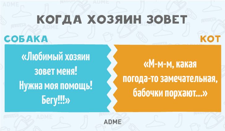 11 фундаментальних відмінностей собак від котів