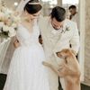Бездомный пёс, пришедший на свадьбу, стал домашним питомцем молодожёнов (ФОТО)