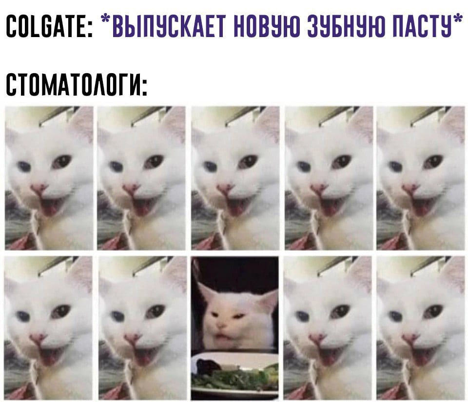 Емоційний кіт став героєм кумедних мемов