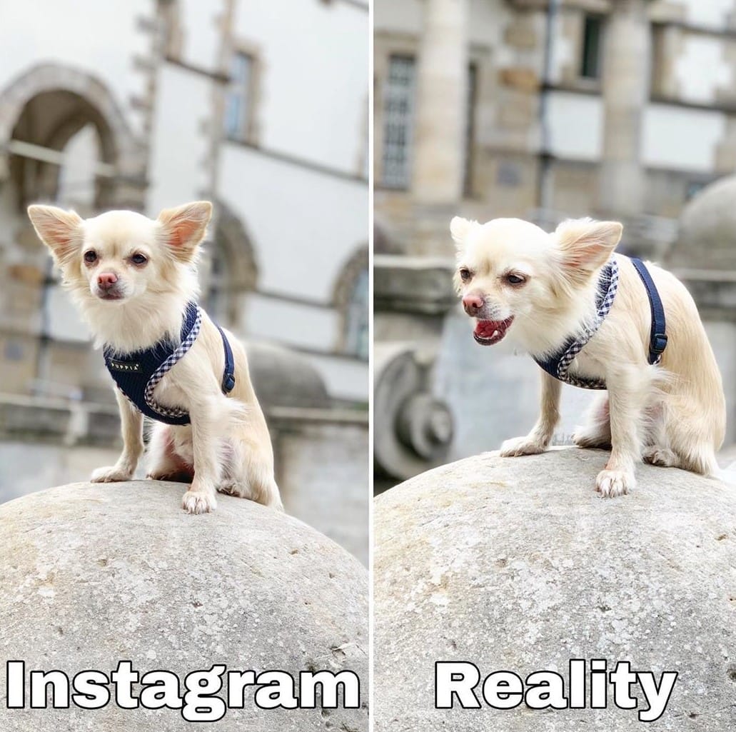Разница между Instagram и реальностью в прикольных фотках
