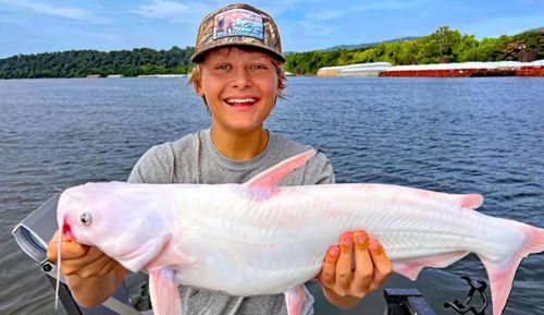 Во время рыбалки 15-летний мальчик вместо голубого сома поймал редкую белую рыбу (ФОТО)