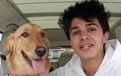Американец подарил собаке будку за $20 тысяч