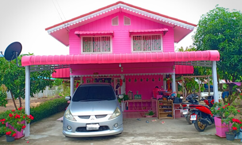 Молодая женщина выкрасила дом в розовый цвет и окружила себя розовыми аксессуарами (ФОТО)
