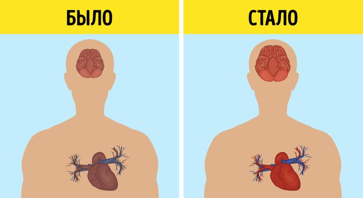 Група людей обернула старіння мозку всього за 6 місяців, і цей досвід можна повторити самостійно