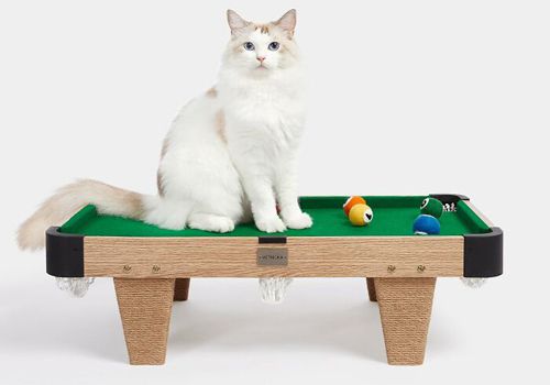 Миниатюрный бильярдный стол был создан специально для кошек (ФОТО)