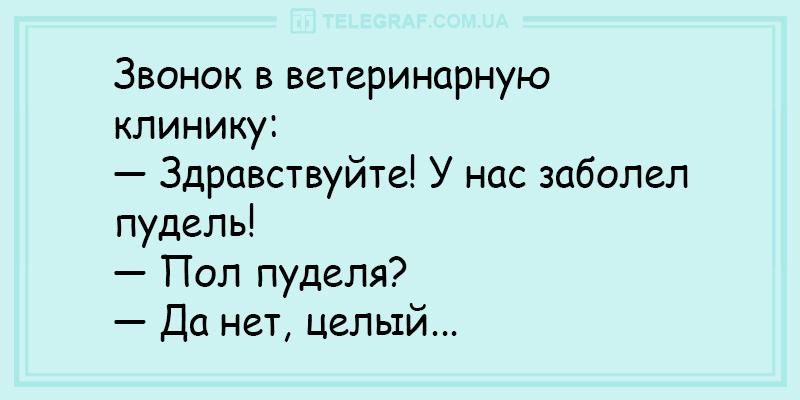 Смішні історії про дієти та лікарів