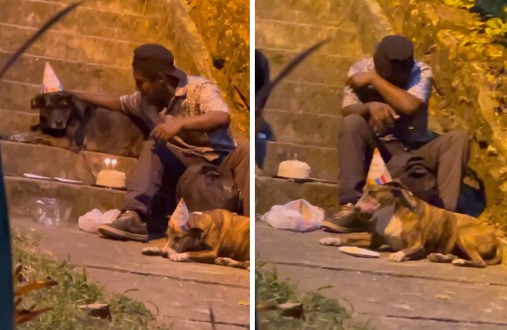 Бездомный обрел дом после того, как видео с ним и его собаками облетело интернет