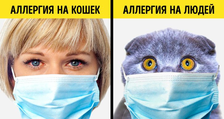 20 фактів про наш світ для тих, хто вже давно нічого не дивується