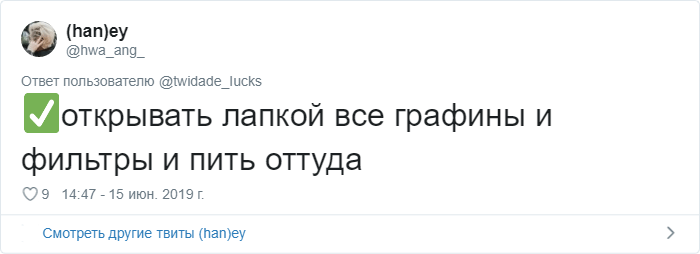 Пользователи Сети рассказали о странных привычках своих котов