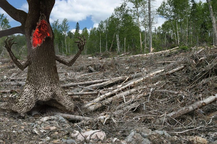 Веселые мемы от мастеров фотошопа