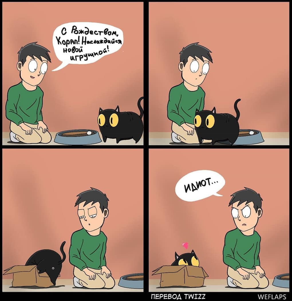 Жизнь котов в прикольных комиксах