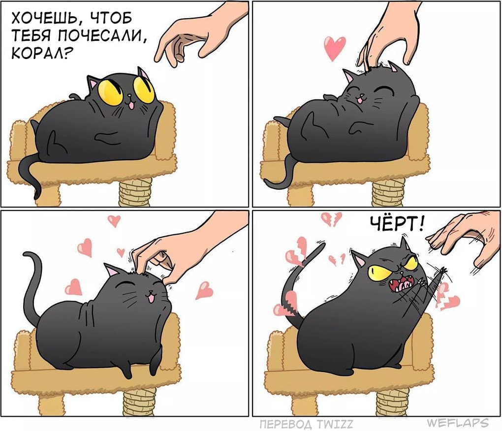 Жизнь котов в прикольных комиксах