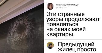 18 фотографий, показывать вам которые без объяснений было бы настоящим преступлением