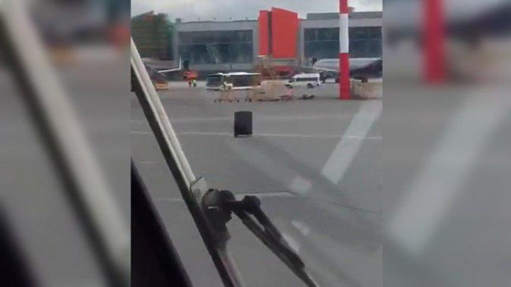Багаж втік від вантажників в аеропорту: кумедне відео
