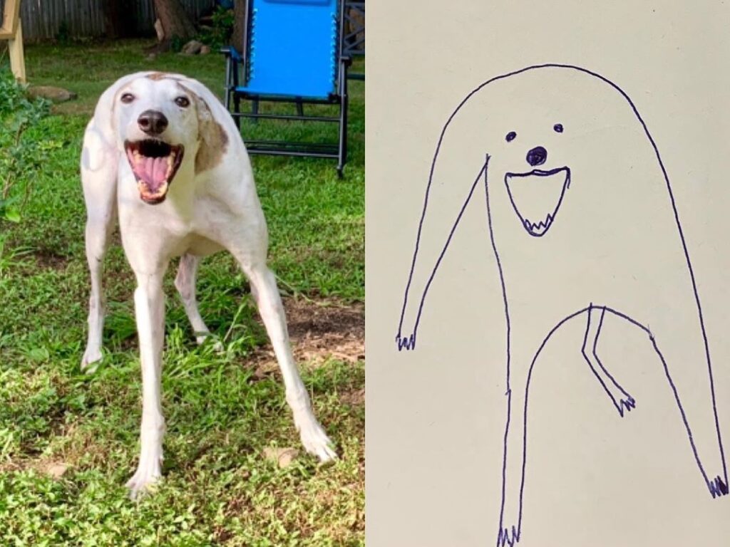 Дівчина запустила флешмоб завдяки безглуздому малюнку собаки