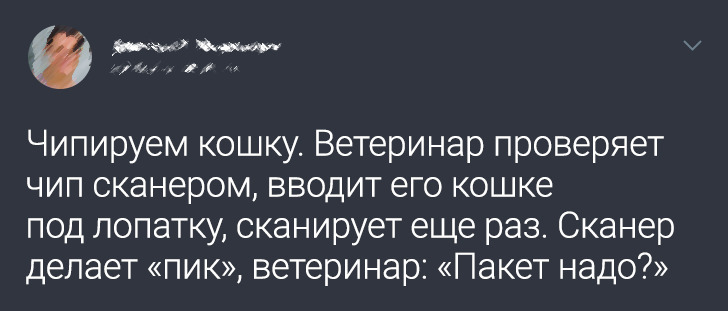 17 історій з такою несподіваною кінцівкою, що навіть сценаристи Голлівуду луснуть від заздрості