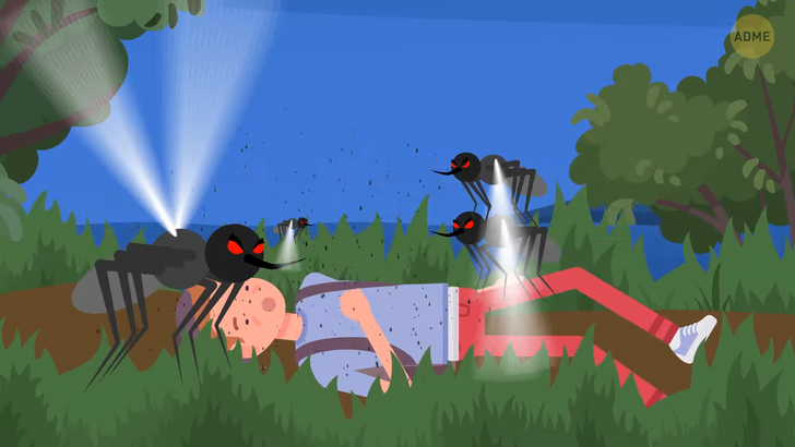 Що станеться з вашим тілом, якщо вас вкусить 1000 комарів? (фото, відео)