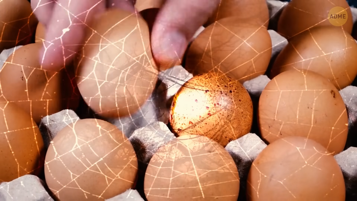 В інтернеті розповіли, на що перетвориться світ без курячих яєць (фото)