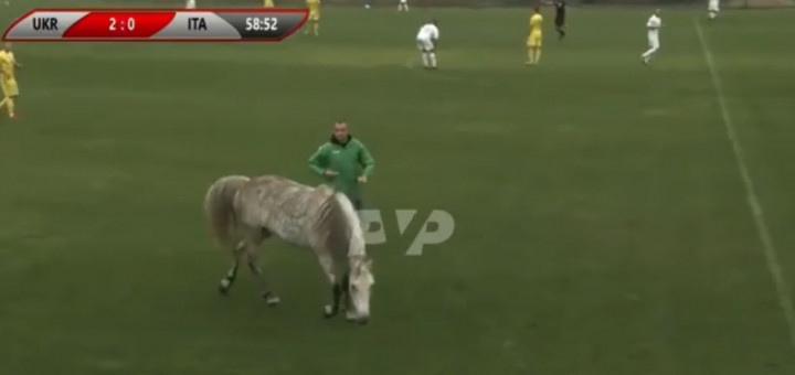 Футбольний матч спробували зірвати кінь та двох собак (відео) 