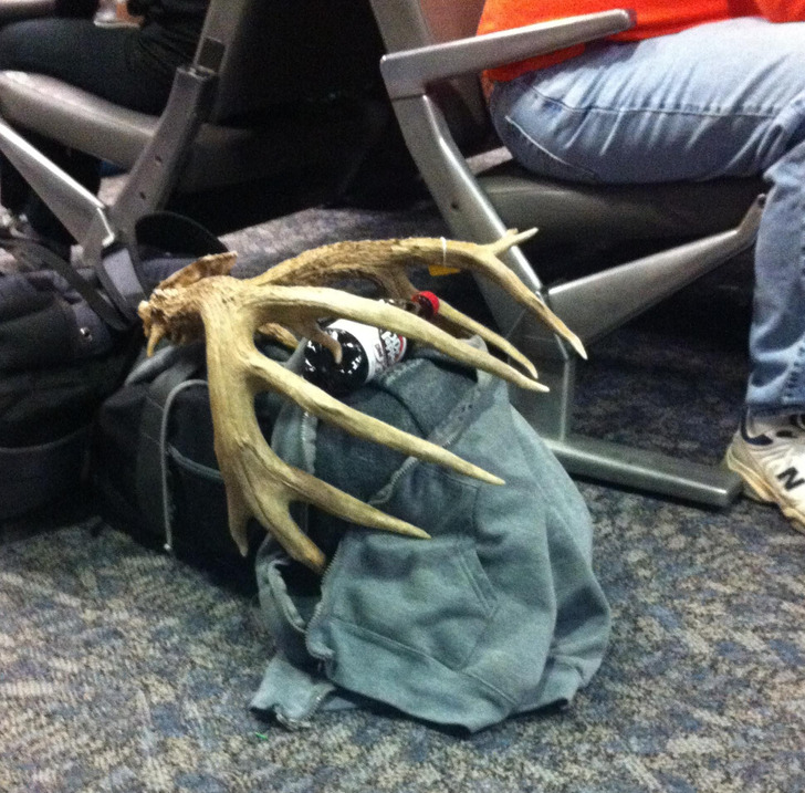 Люди, які в аеропортах та літаках натрапили на речі крутіші, ніж пластикові сидіння та табло вильотів
