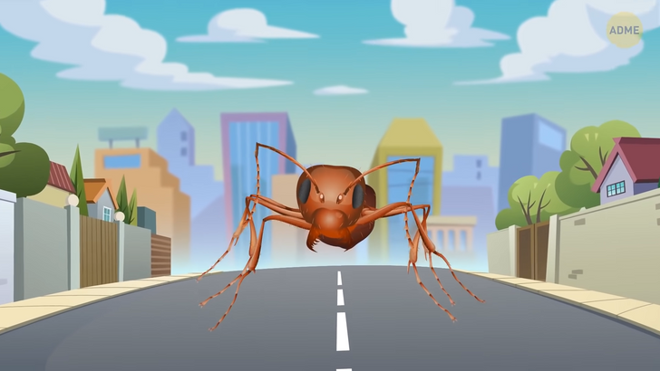 Що, якби ваше місто захопили б гігантські мурахи