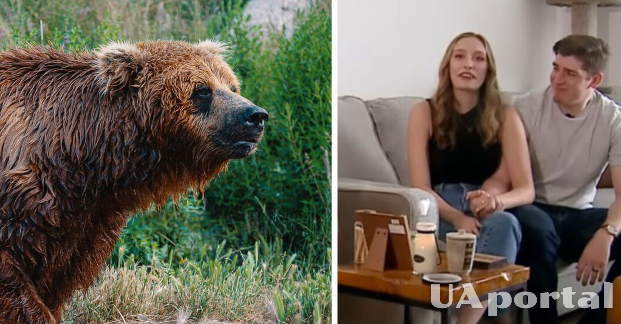Ведмідь у США розігнав весілля, коли увірвався 'за десертом' (відео)