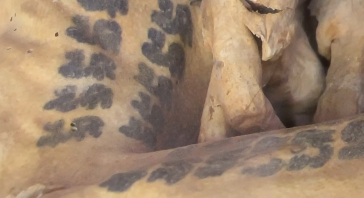 У «крижаної людини» Етці було більше татуювань, ніж у вас (фото)