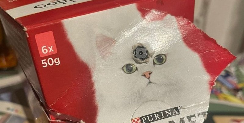Британець виявив шпигунську камеру в пачці котячого корму (ФОТО)