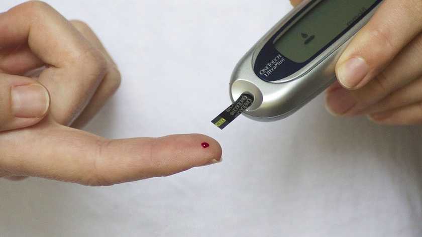 Вчені заявили про користь жирів для діабетиків