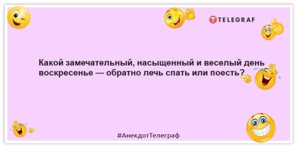 Свою суботу я присвячую дивані: веселі жарти про вихідні (ФОТО) 