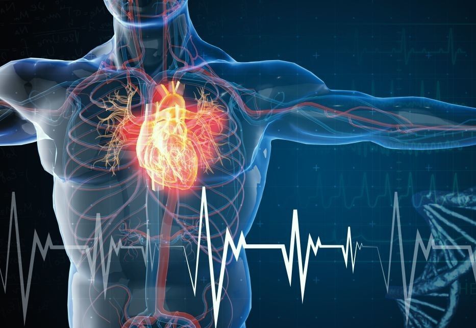 Прості навички, які допоможуть зберегти серце здоровим