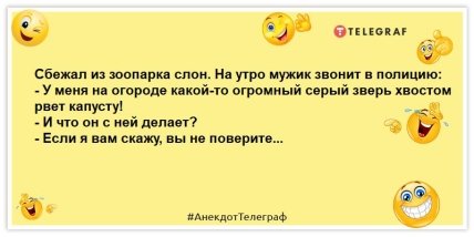 Вчора в мене вкрали гаманець. Ходив у поліцію. Це не вони: найсвіжіші анекдоти для настрою (ФОТО)