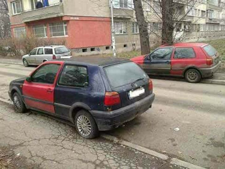 Несподівані знахідки, які доводять, що життя ще здатне нас здивувати