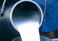 АМКУ обязал производителей молочных продуктов снизить цены  