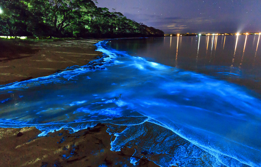 Удивительные заливы с невероятной подсветкой воды
