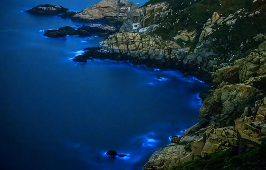 Удивительные заливы с невероятной подсветкой воды