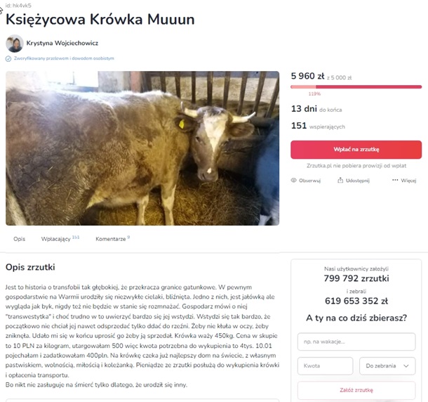 Польські ЛГБТ-активісти рятують корову-\"трансгендера\" 