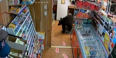Ведмідь зайшов на заправку та вкрав мармеладних ведмедиків – відео
