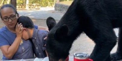 Дикий ведмідь неочікувано прийшов на пікнік сім'ї: реакція мами ошелешила (відео)