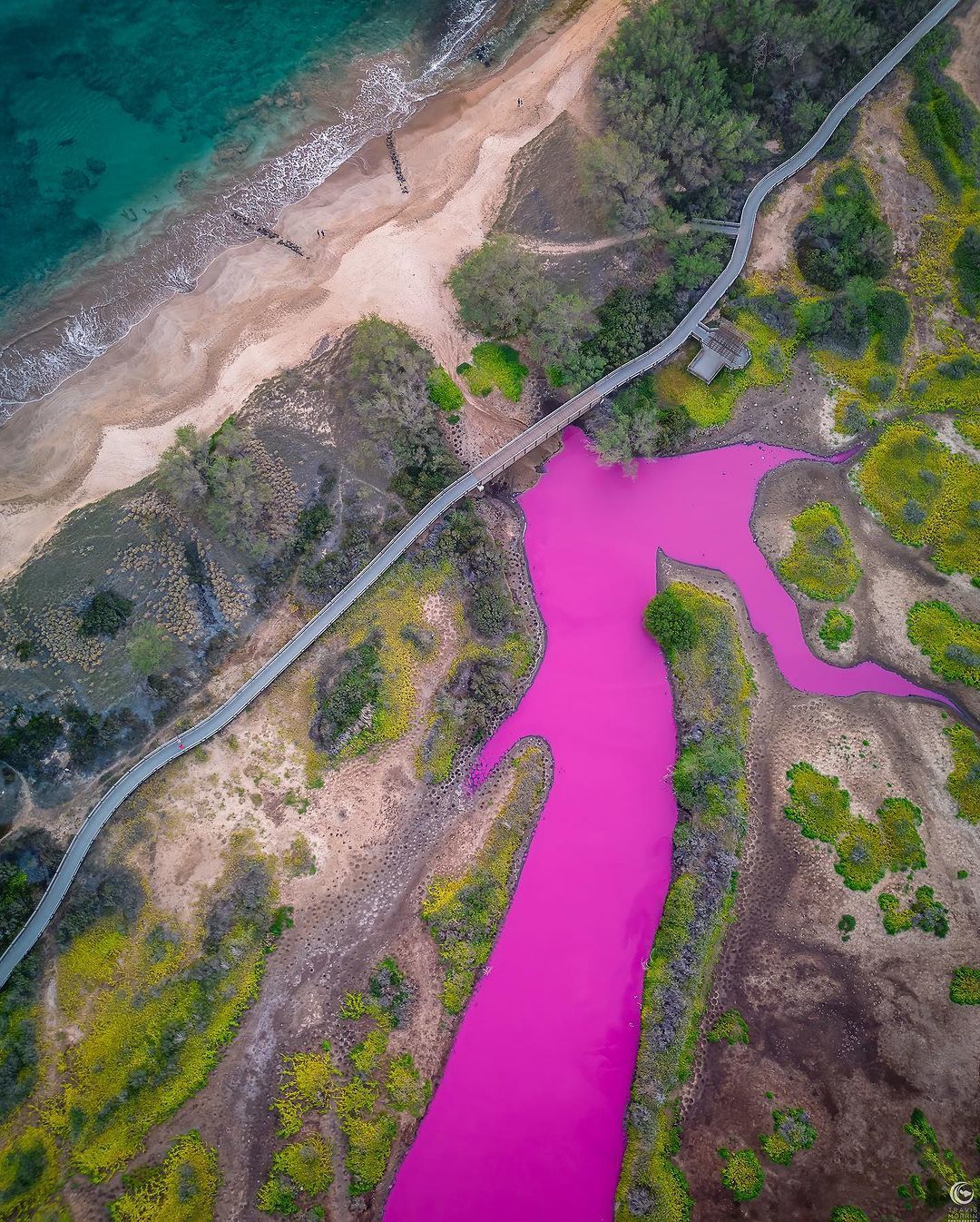 На Гаваях озеро стало рожево-фіолетовим: у чому причина (фото, відео)