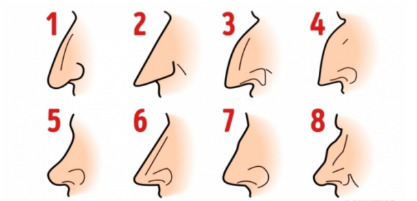 Тест - який ніс, такий і характер Фото: tips-and-tricks / © 