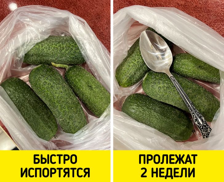 Незвичні способи зберігання продуктів, які здаються абсурдними. А потім пробуєш, і вони реально працюють