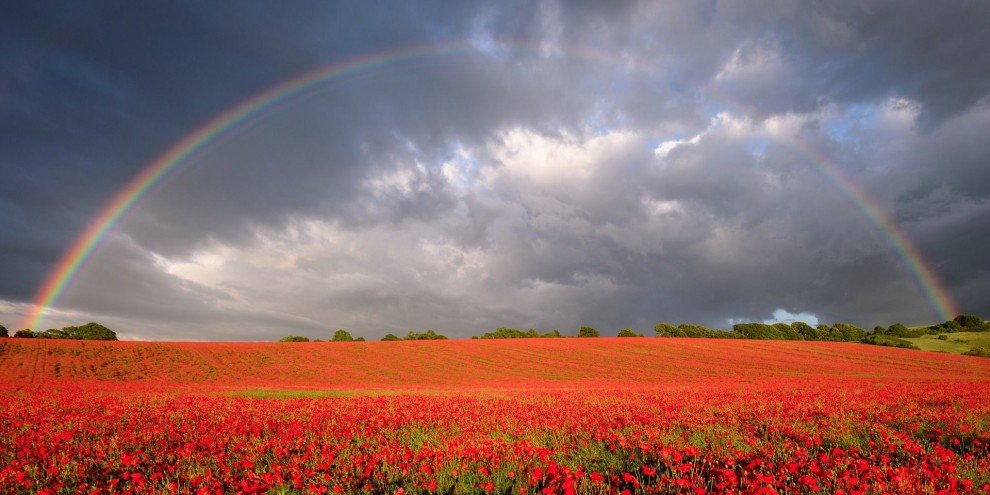 Шорт-лист погодного фотоконкурса Weather Photographer of the Year