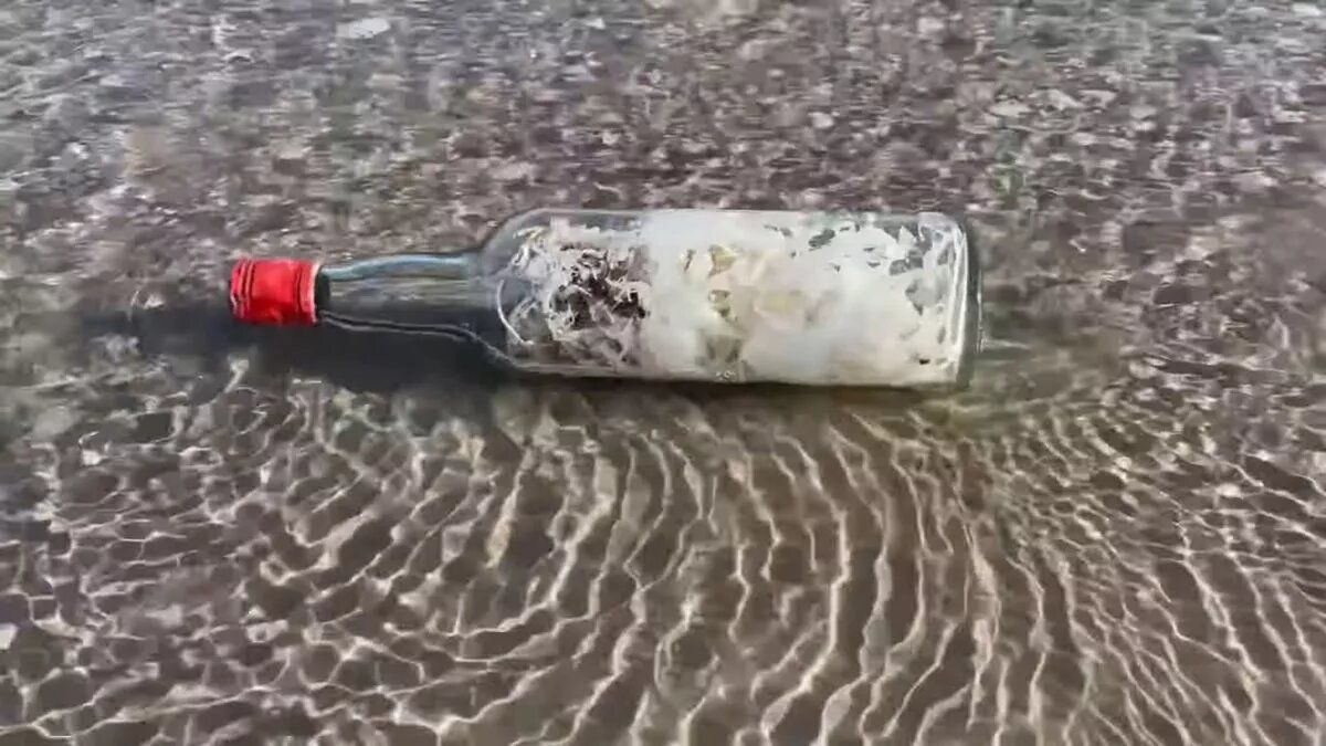 На пляж викинуло загадкові пляшки / Фото: MissionAransasNERR/Youtube / ©